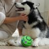 Giggle Dog Ball; 5.5" in Diameter; Green Interactive Dog Toy Sound 12 oz; Vinyl Giggle Ball for Dogs; Wiggle Waggle Ball for Dogs; Sound Dog Toys Wob