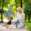 2 In 1 Wireless Electric Dog Fence With Training Collar IP67 Waterproof Pet Beep Vibration Shock Boundary Containment System for Small Medium Large D