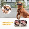 Squeaky Plush Dog Toys Indestructible; Set Durable No Stuffing Dog Toys; Cuddly Soft Chew Bundle as Dog Chew Toys; Tough Dog Toys for Puppy Small Med