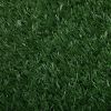 Dog Grass Mat, Indoor Potty Training, Pee Pad for Pet----Two pieces