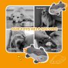 Squeaky Plush Dog Toys Indestructible; Set Durable No Stuffing Dog Toys; Cuddly Soft Chew Bundle as Dog Chew Toys; Tough Dog Toys for Puppy Small Med