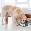 Heated Water Bowl for Dog Cat 74.4OZ Heating Water Dish IP67 Waterproof Thermal Water Bowl Heated Pet Bowl Dog Cat Water Feeder Bowl for Dog Cat Rabb