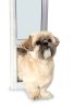 PetSafe Freedom Patio Panel Pet Door